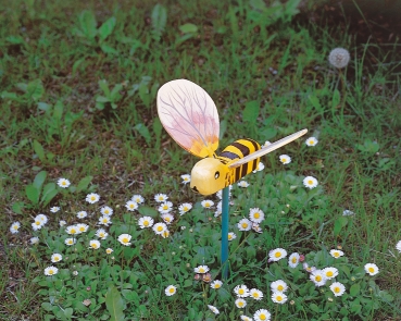 Schmetterling oder Biene