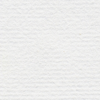 Ingres-Bütten-Papier / 5 Bogen weiß