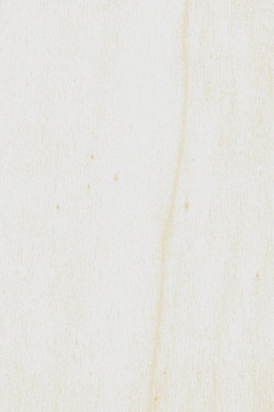 Pappel-Sperrholz, 3 x 300 x 200 mm